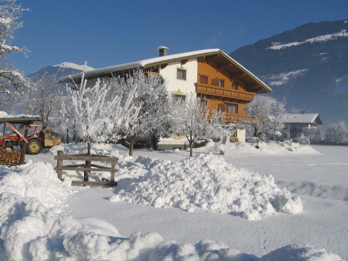 Lippnerhof Lejlighed Aschau Im Zillertal Eksteriør billede