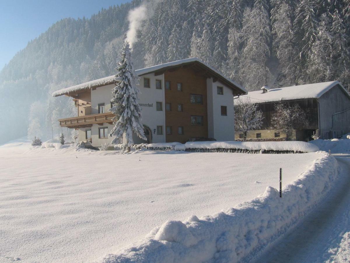 Lippnerhof Lejlighed Aschau Im Zillertal Eksteriør billede